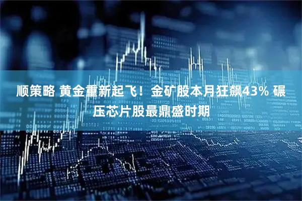 顺策略 黄金重新起飞!金矿股本月狂飙43% 碾压芯片股最鼎盛时期